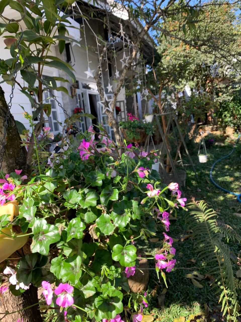 De Daisy Villa Homestay Đà Lạt Exterior foto