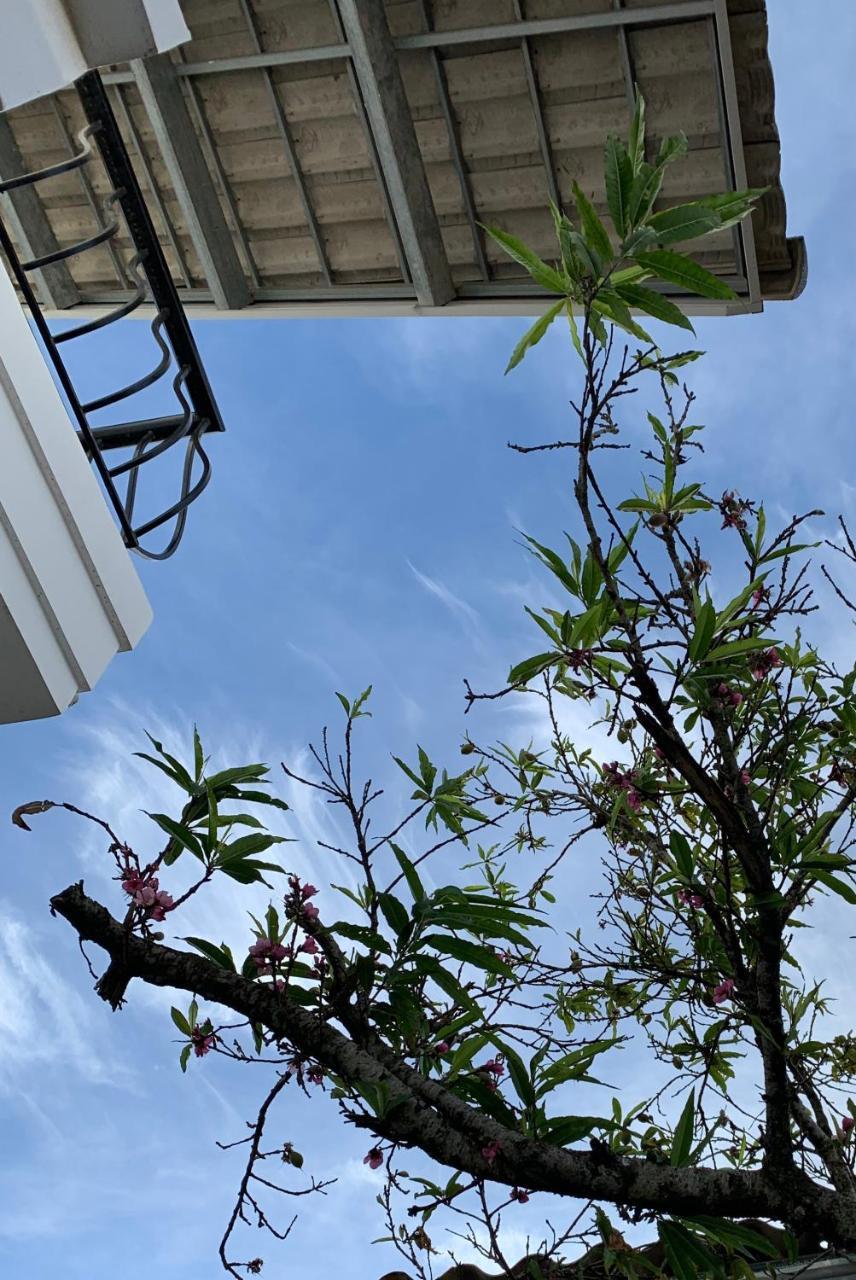 De Daisy Villa Homestay Đà Lạt Exterior foto