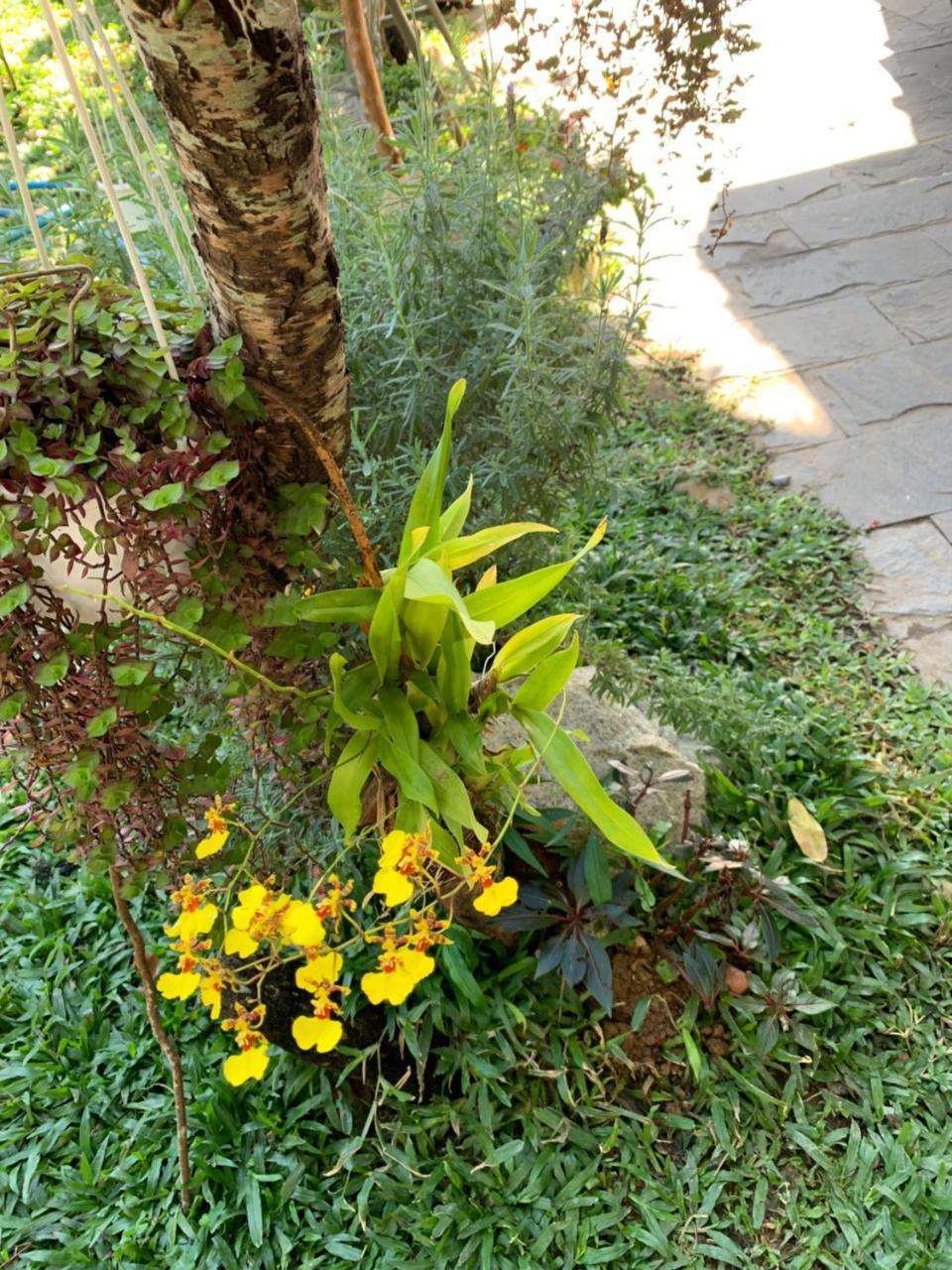 De Daisy Villa Homestay Đà Lạt Exterior foto
